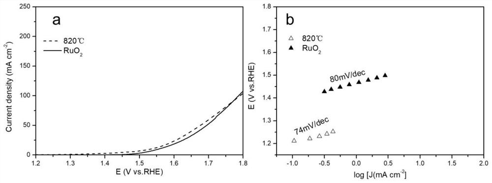 Cobalt-based multifunctional catalyst simulating branch and leaf structure of pinus thunbergii and preparation method of cobalt-based multifunctional catalyst