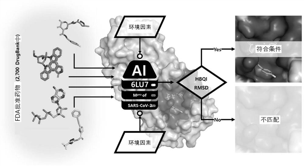 Composition for preventing or treating sars coronavirus 2 infection disease