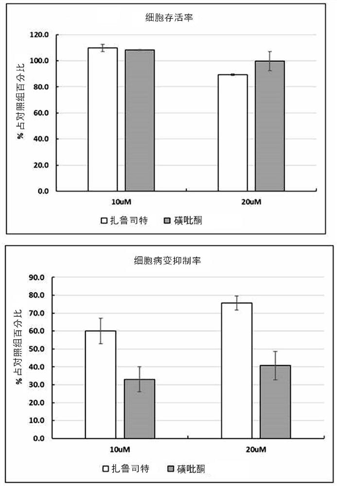 Composition for preventing or treating sars coronavirus 2 infection disease