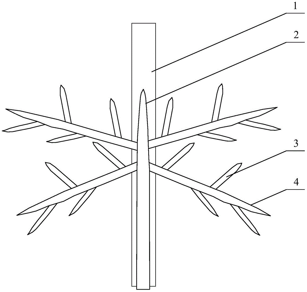 A kind of T-shaped wolfberry tree and its cultivation and pruning method