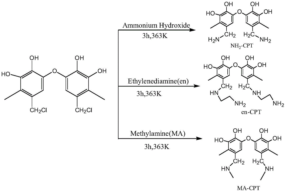 Amino-modified persimmon tannin adsorbent and its preparation method and application