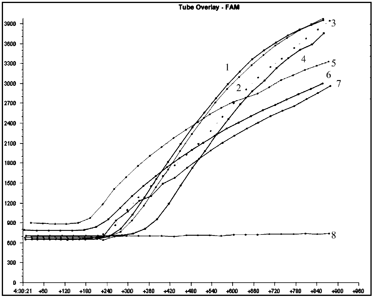 RPA (recombinase polymerase amplification) primer, probe, kit and method for detecting vibrio parahaemolyticus