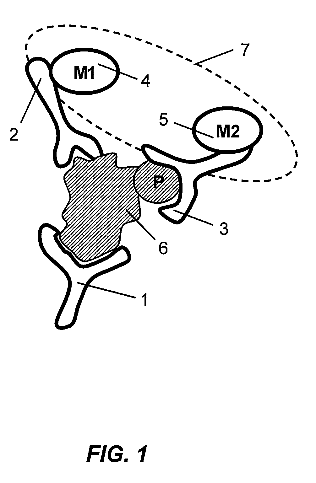 Antibody-based arrays for detecting multiple signal transducers in rate circulating cells