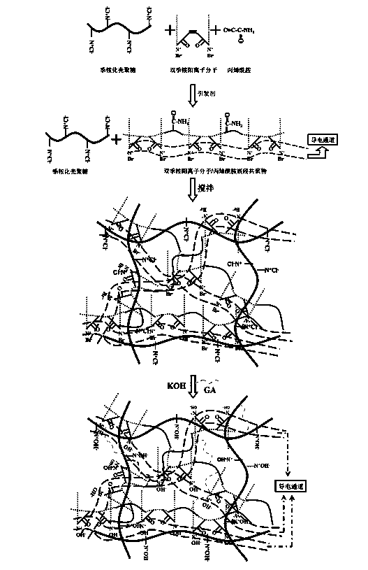 Double-quaternary ammonium positive ion molecule introduced anion-exchange membrane and preparation method thereof