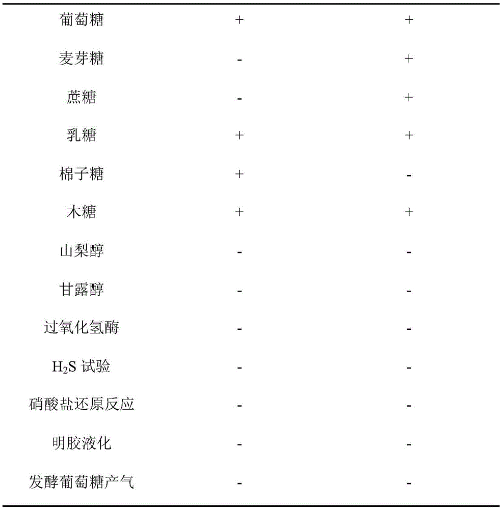 A kind of processing method of flavor fermented pleurotus eryngii