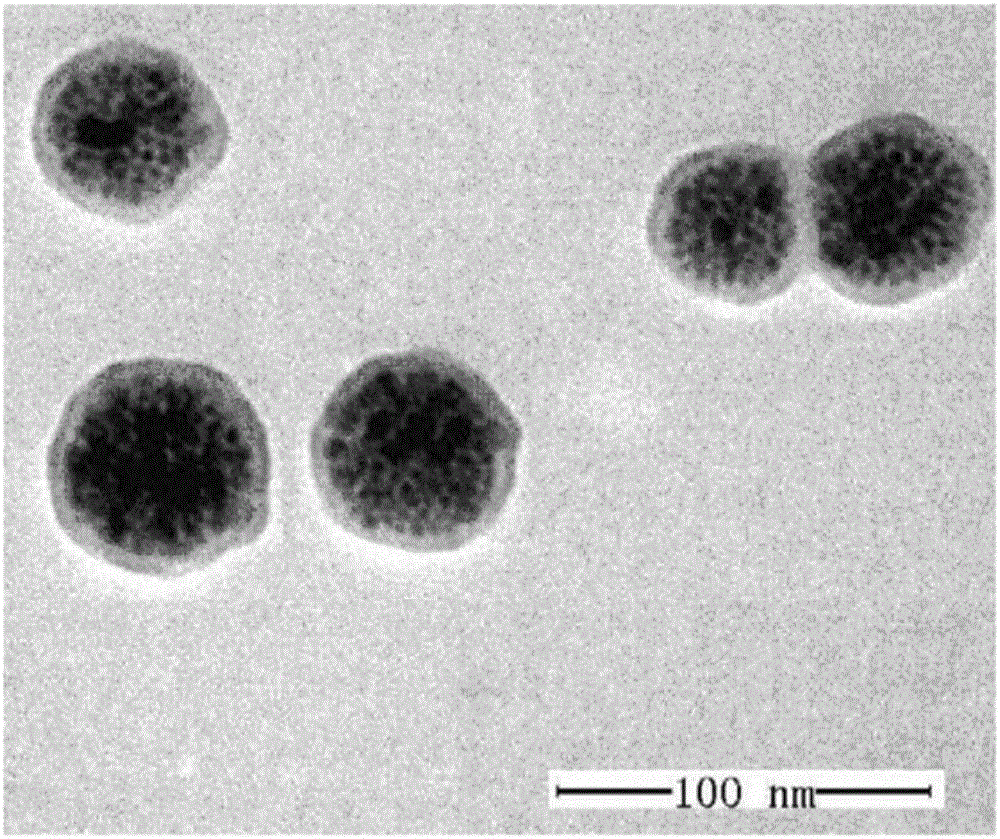 Targeted adriamycin-loaded magnetic nanoparticles and preparation method and application