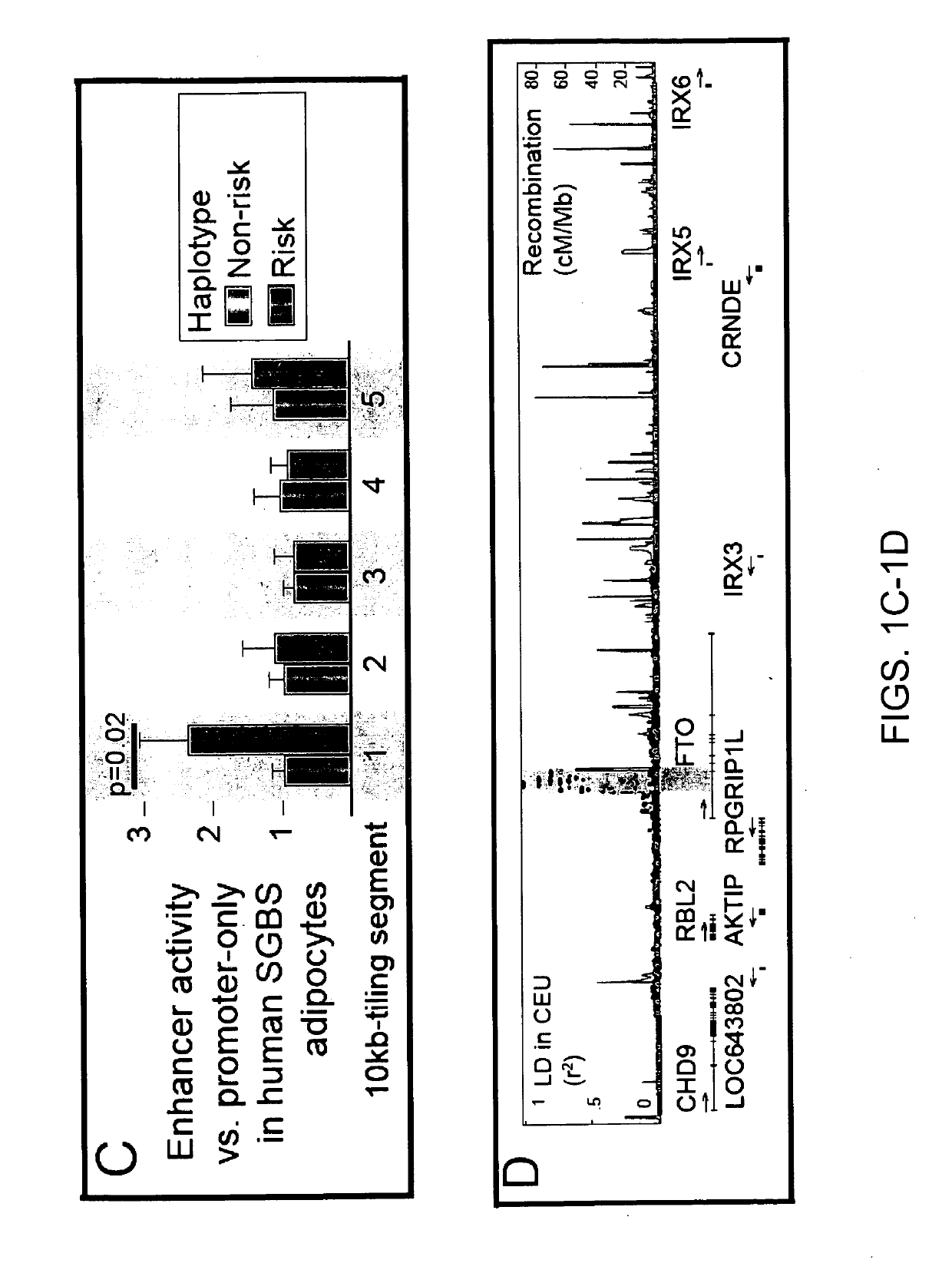 Compositions And Methods For Manipulation Of Adipocyte Energy Consumption Regulatory Pathway