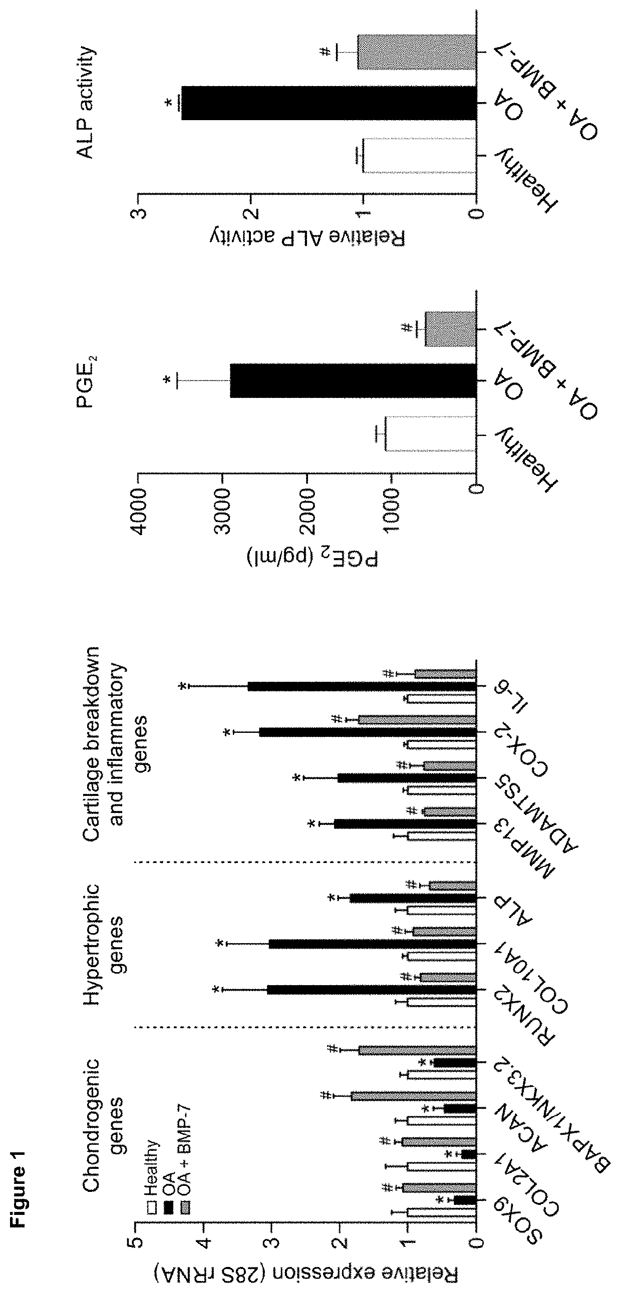 Method for the treatment or prevention of osteoarthritis