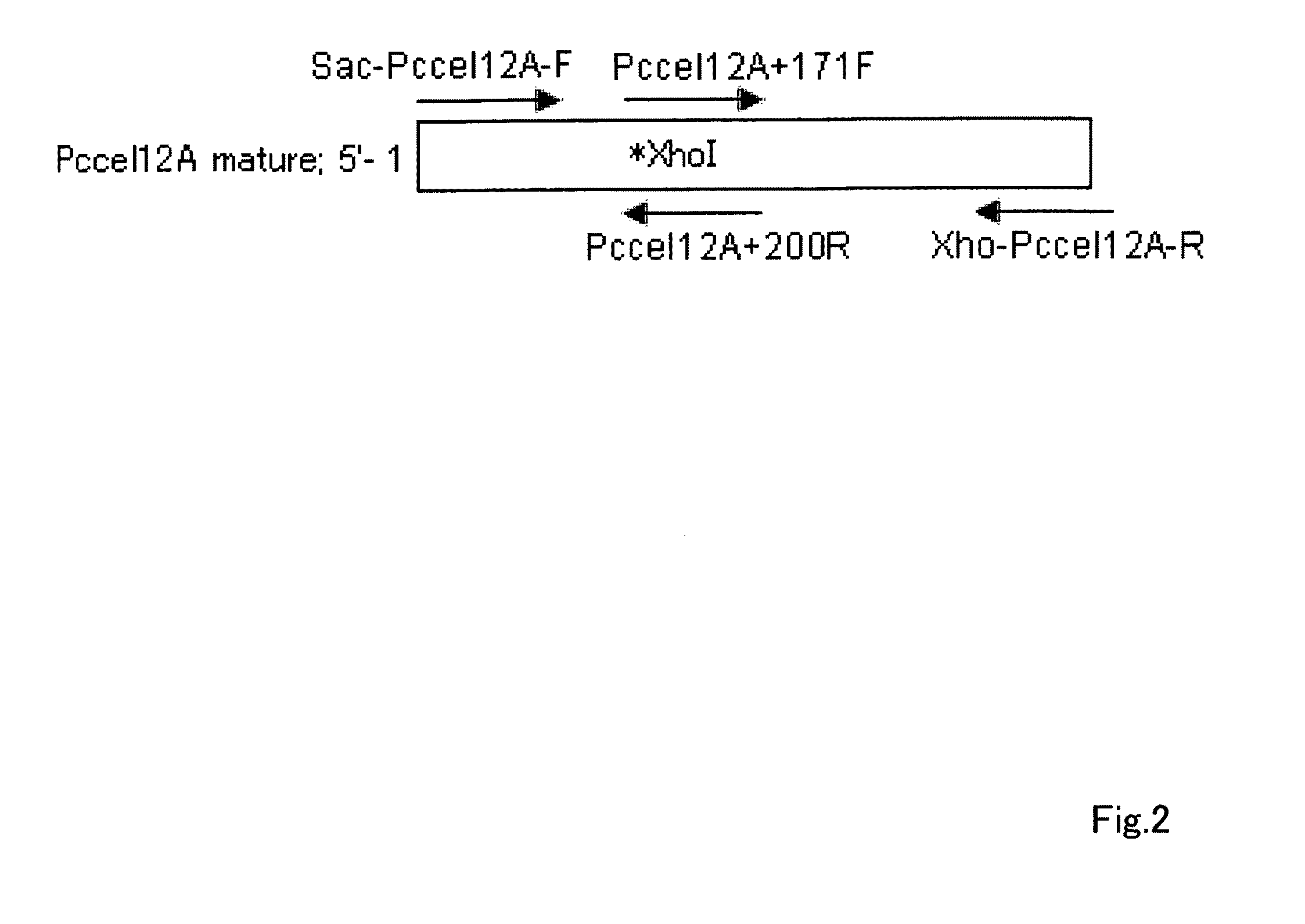 Acid-resistance endoglucanase and the use of thereof