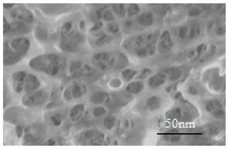 A kind of fishbone nano material and its preparation and application