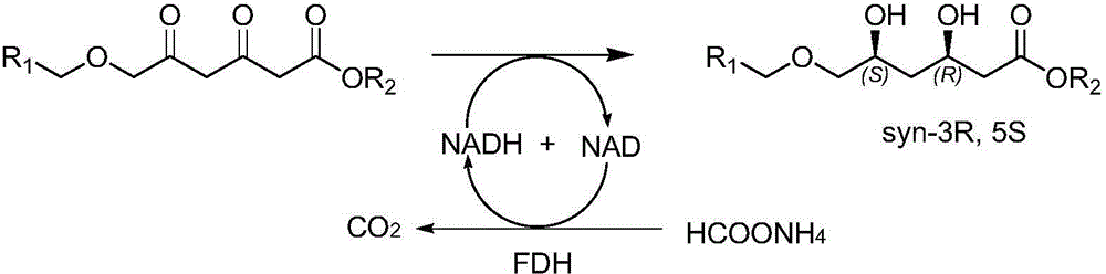 Diketoreductase mutant and application thereof