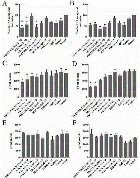 Targeted drug delivery system modified by follicle-stimulating hormone polypeptide and regulated by promoter MUC16 and preparation method of targeted drug delivery system