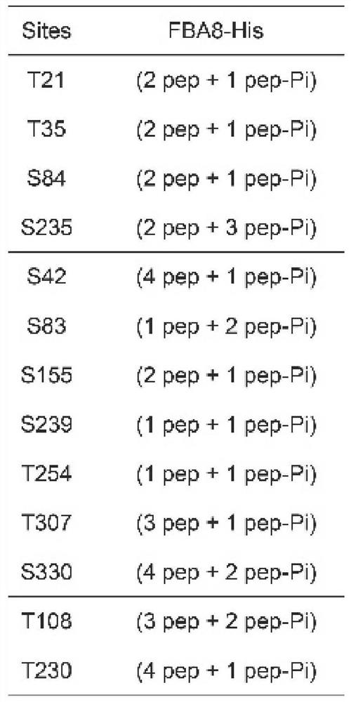 Application of fba8 gene or fba8 protein in preparation of reagents with phosphotransfer activity and/or proteolysis activity