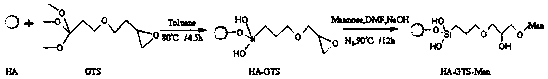 Targeting drug carrier based on nano-hydroxyapatite and construction method of nano-drug delivery system