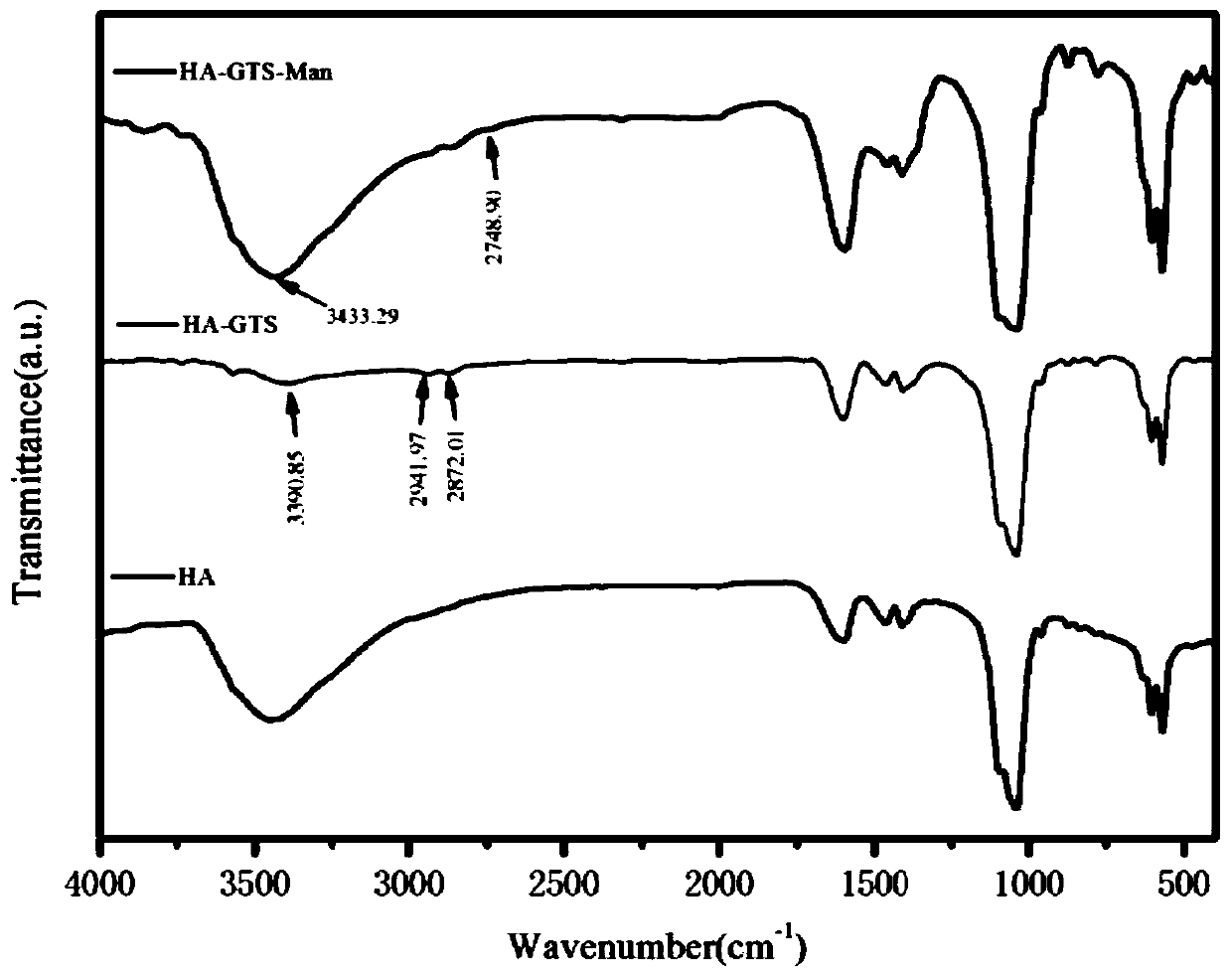 Targeting drug carrier based on nano-hydroxyapatite and construction method of nano-drug delivery system