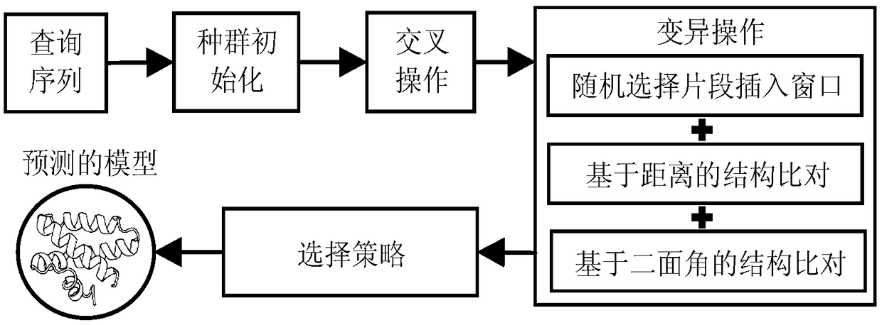 Protein conformation space optimization method based on local structure comparison