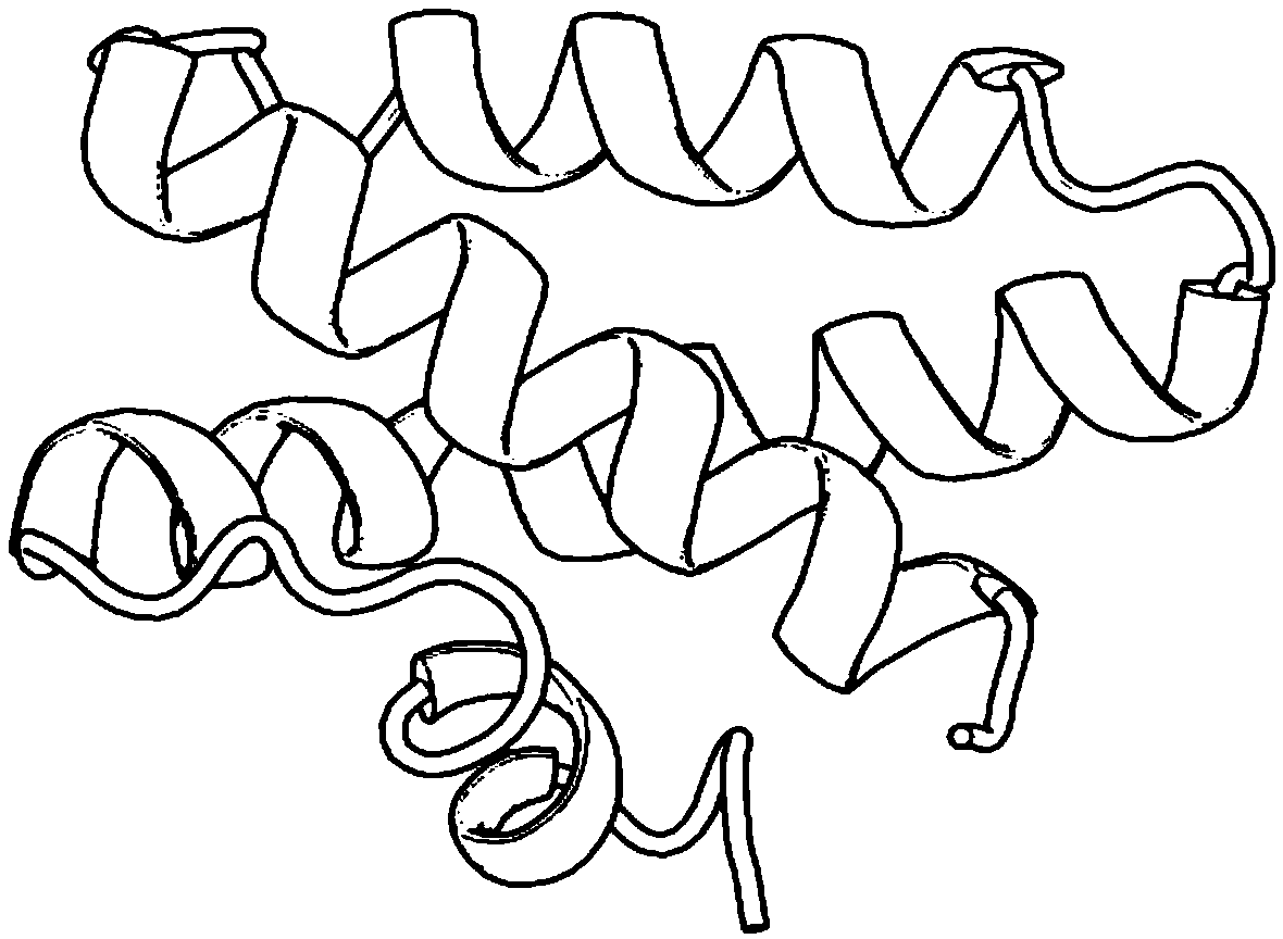 Protein conformation space optimization method based on local structure comparison