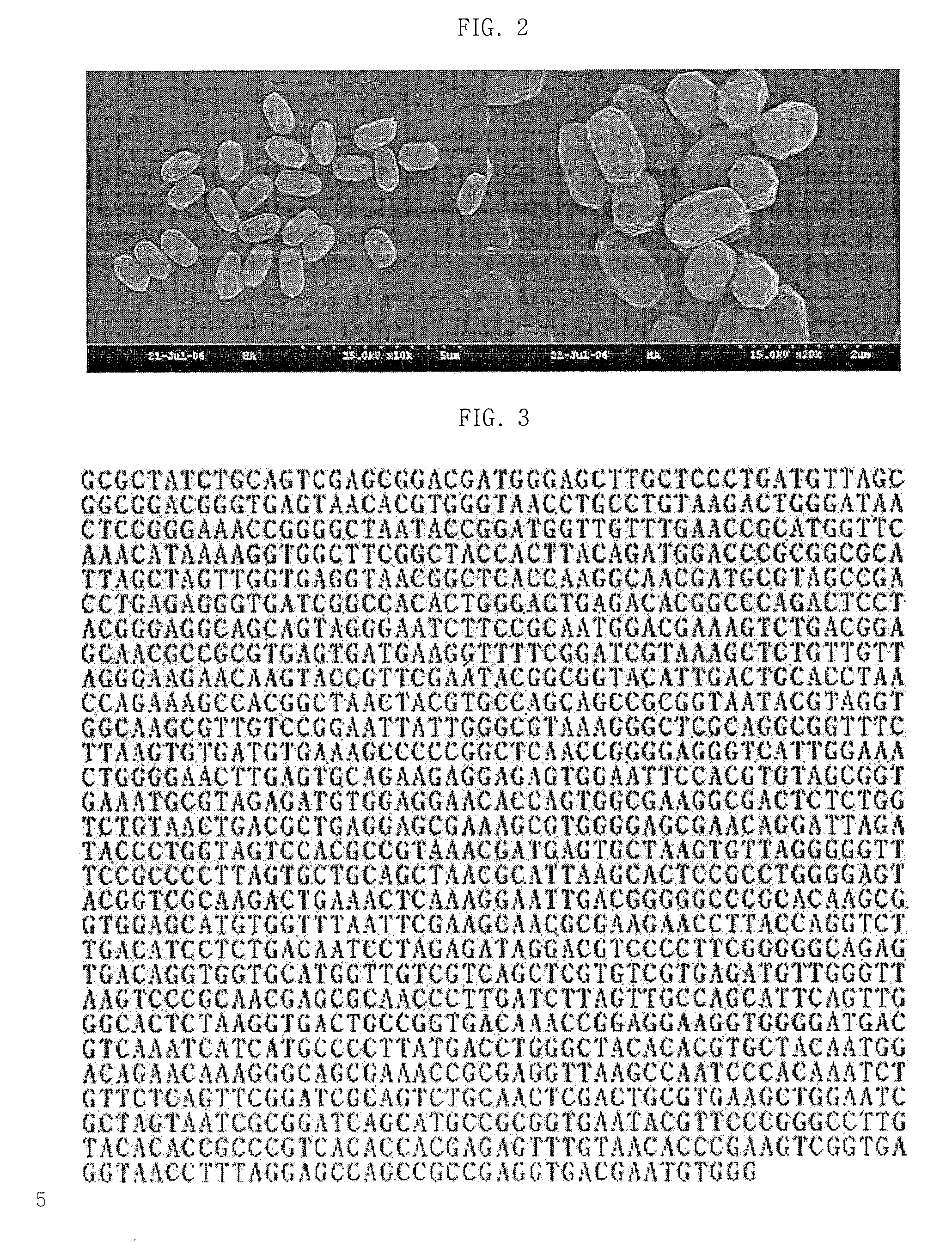 Bacillus subtilis ha producing fibrinolytic enzyme and mucilage highly, method of preparing fermented soybeans using the same strain, and soybeans prepared by the method