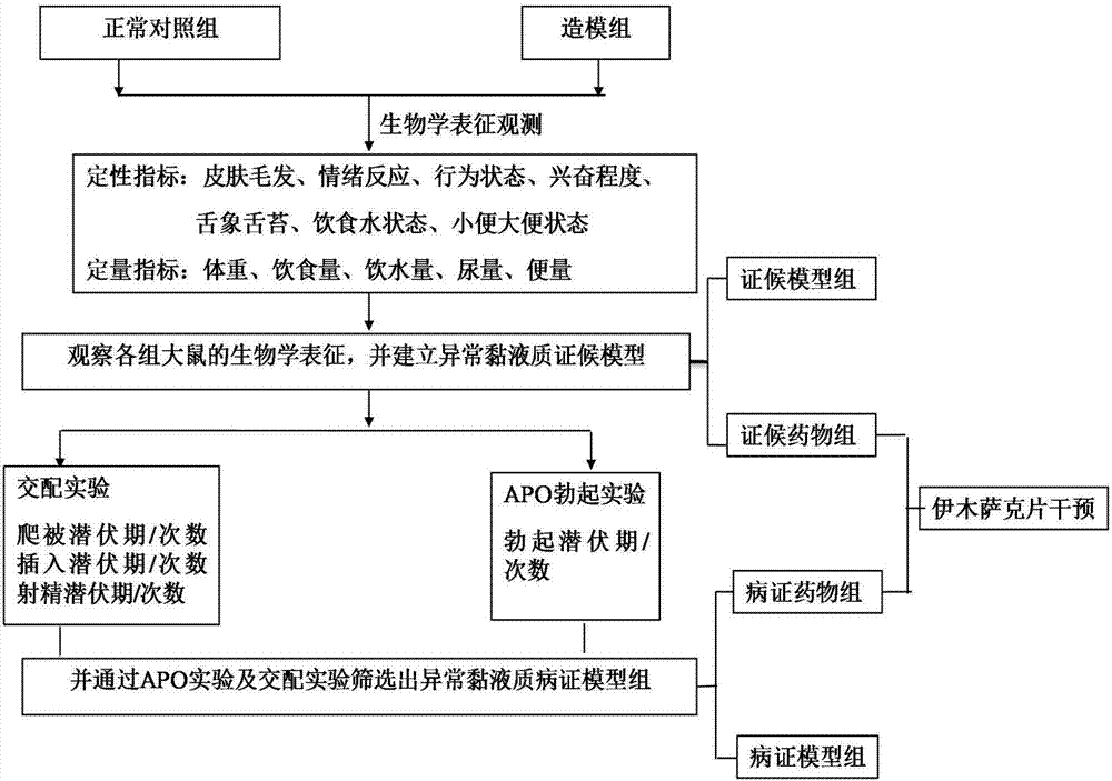 Target protein and screening method of Yimusake tablet acting on abnormal mucus syndrome and impotence syndrome model