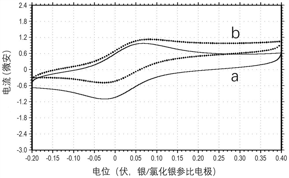 Glucose sensor, glucose dehydrogenase and preparation method of glucose dehydrogenase