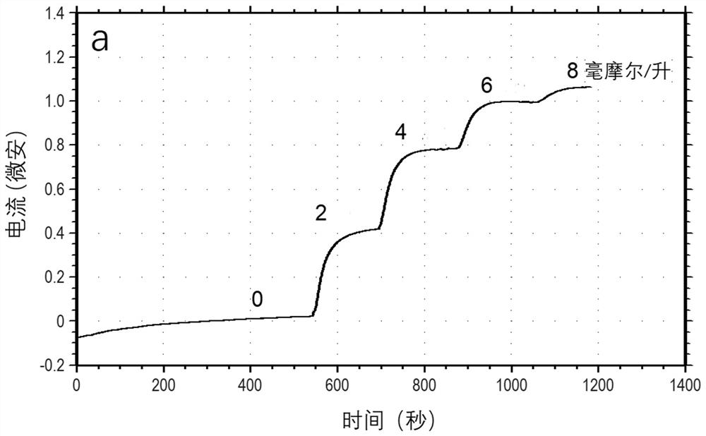 Glucose sensor, glucose dehydrogenase and preparation method of glucose dehydrogenase