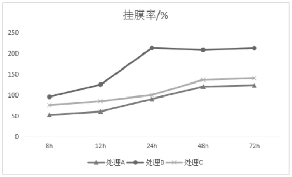 Preparation method of biological membrane for sewage treatment