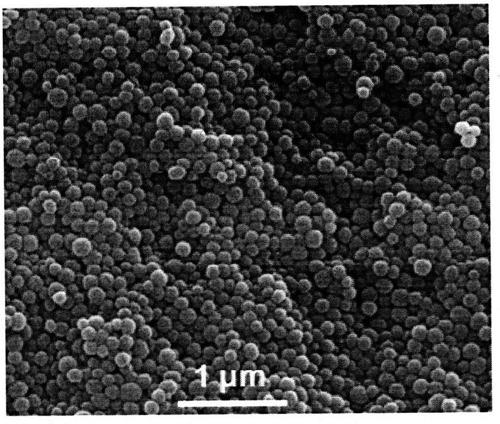 Method for preparing nitrogen-doped nanoporous carbon microspheres by using sepia as raw material