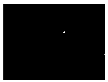 Water-soluble poly gamma cyclodextrin-C60 supermolecule clathrate compound as well as preparation method thereof