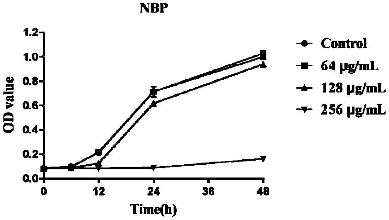 Application of butylphthalide in the preparation of antifungal products and its products