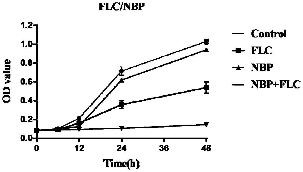 Application of butylphthalide in the preparation of antifungal products and its products