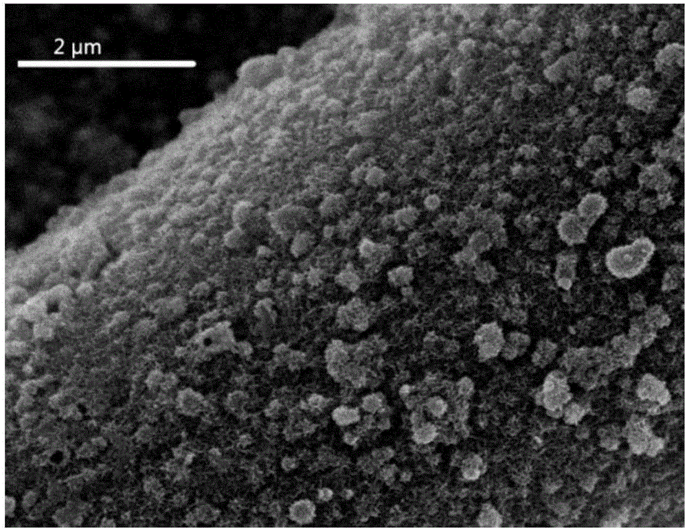 Three-dimensional heterojunction-structured nickel cobalt sulfide electrode material and preparation method and application thereof