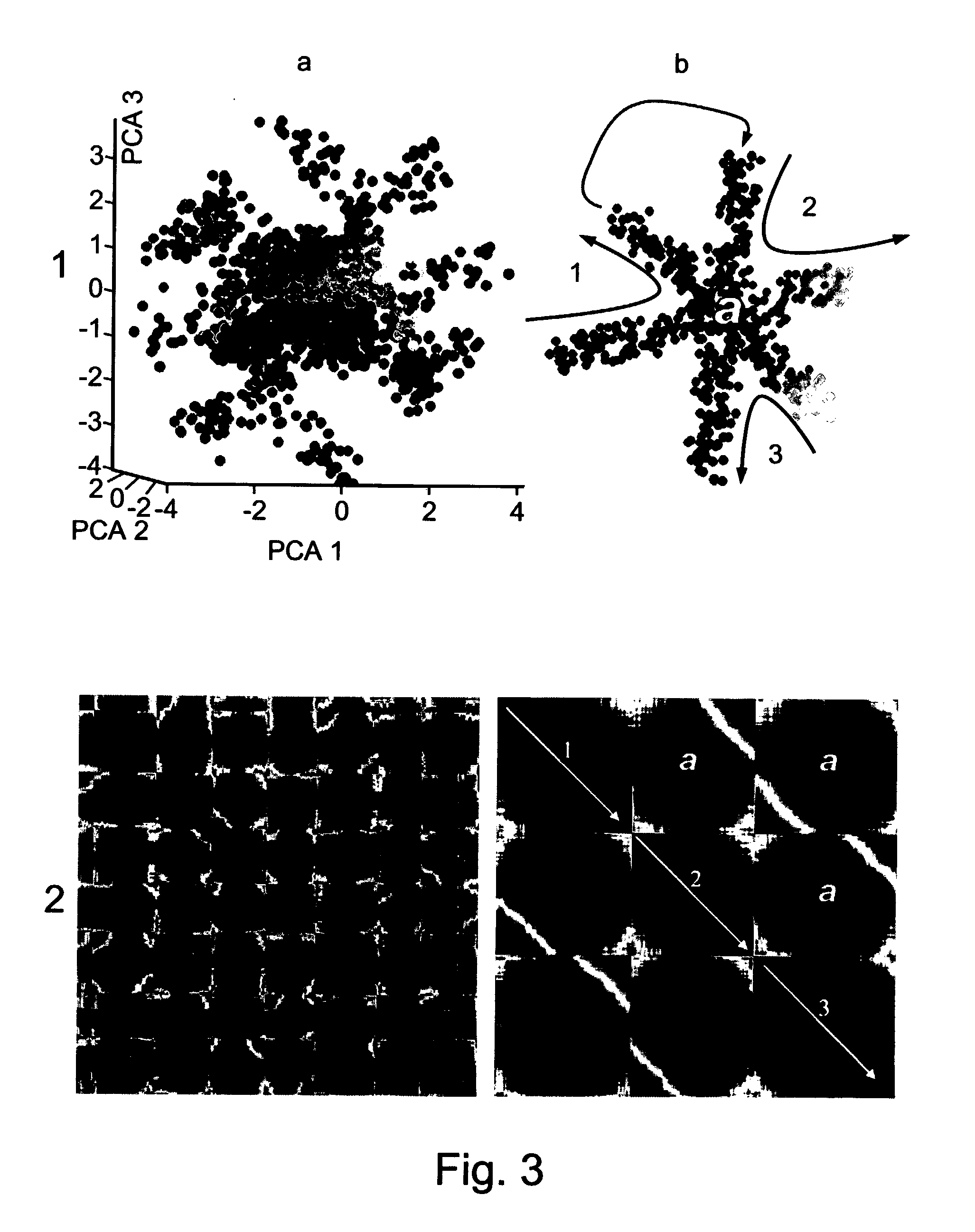 Sorting points into neighborhoods (spin)