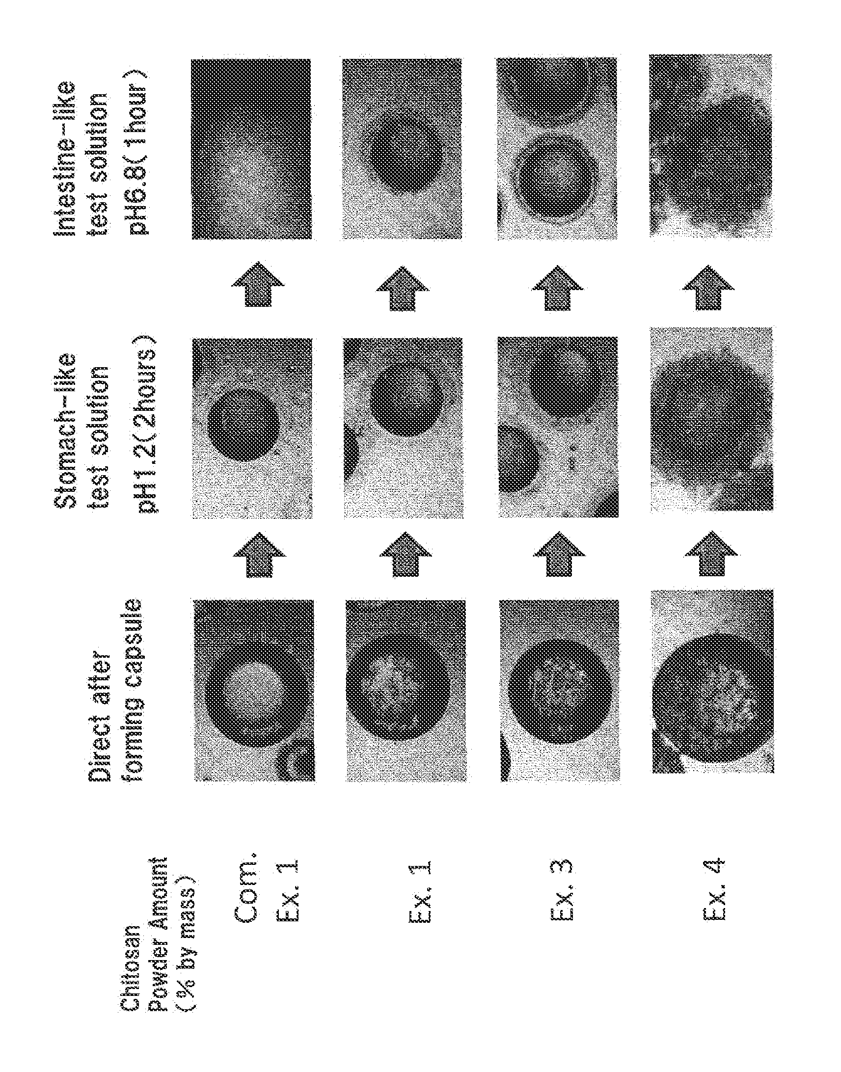 Capsule which disintegrates specifically in the large intestine