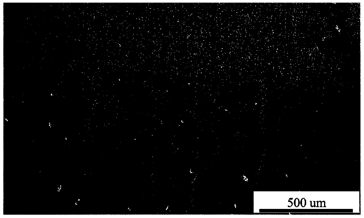 A heat treatment method for additively manufacturing single crystal nickel-based superalloys