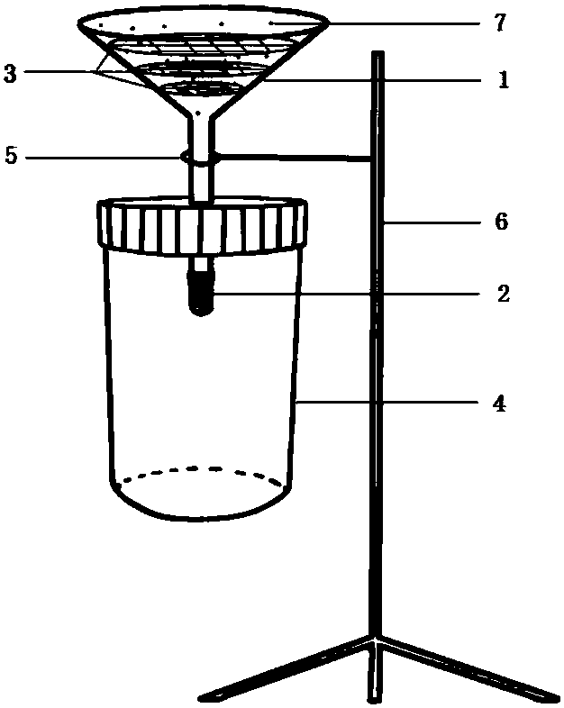 Simple collecting device for large fungal spores in forest air and method