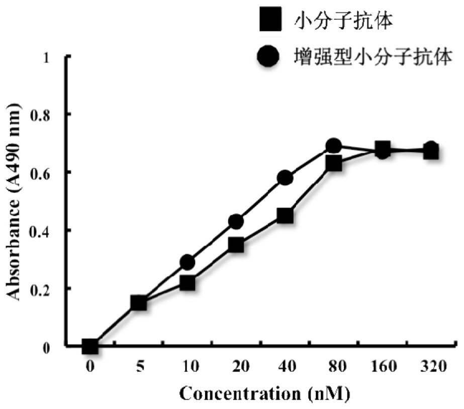 Construction and application of an enhanced small molecule antibody