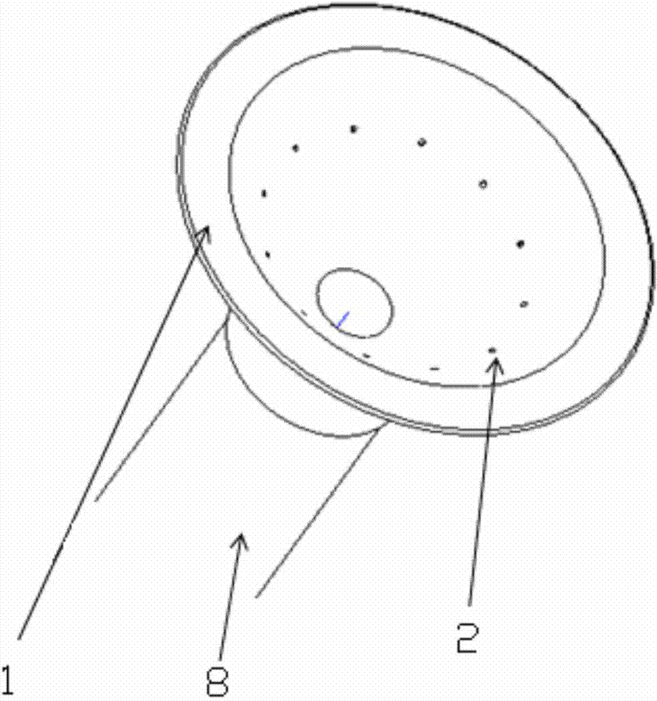 Flexible flush head