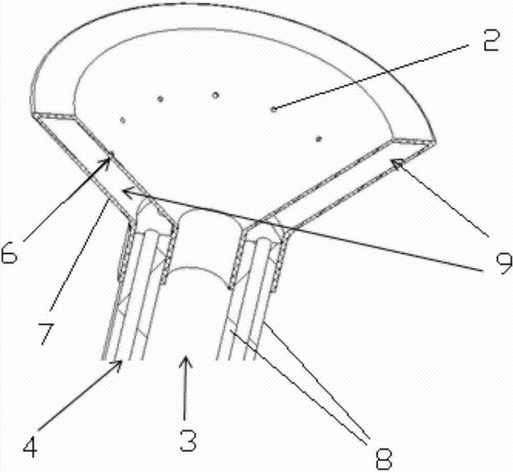 Flexible flush head