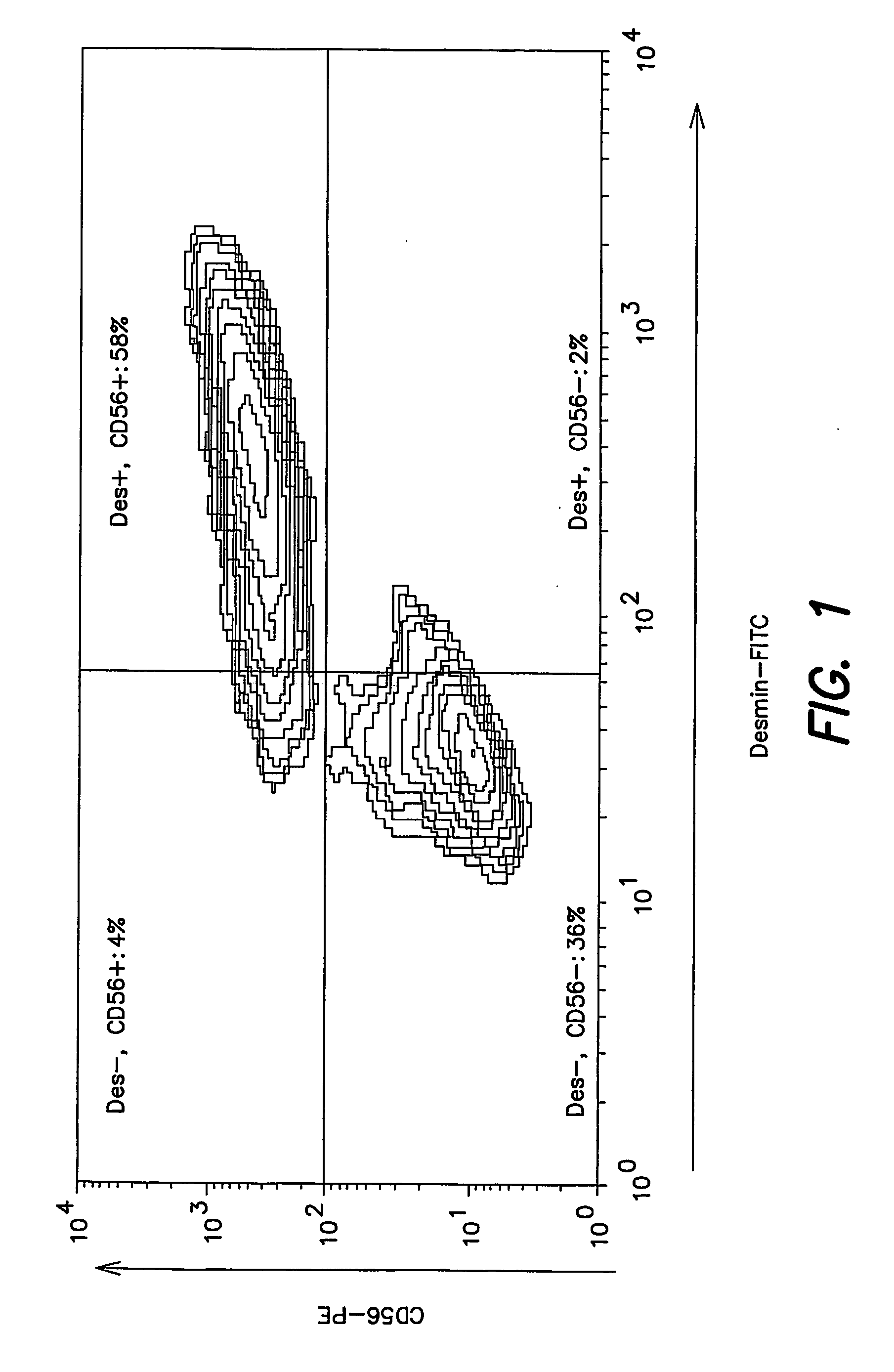 Skeletal musle-derived cells and methods related thereto