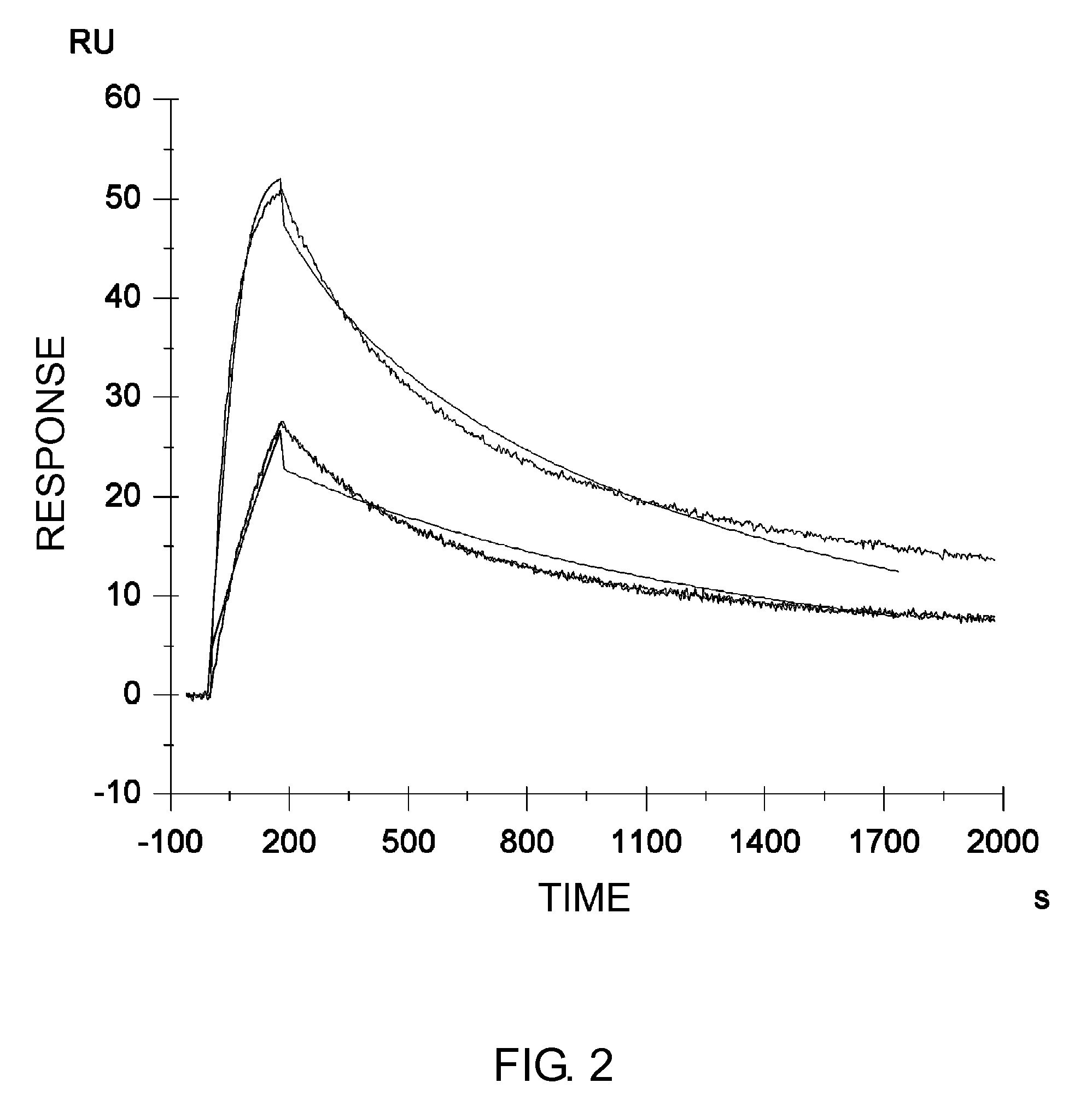 Method of modifying isoelectric point of antibody via amino acid substitution in CDR