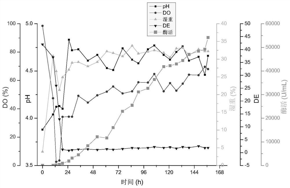 Bacterial strain for producing acid protease through liquid fermentation and application of bacterial strain