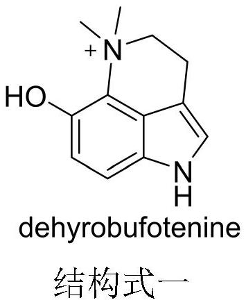 Preparation method and application of dehydrobufotenine