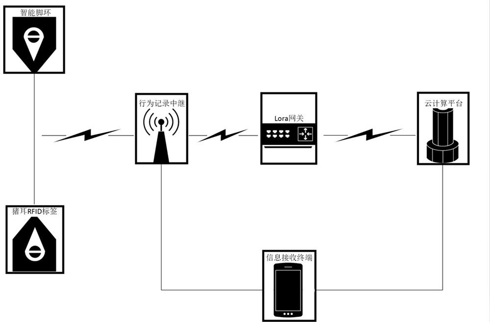 Sow health monitoring system