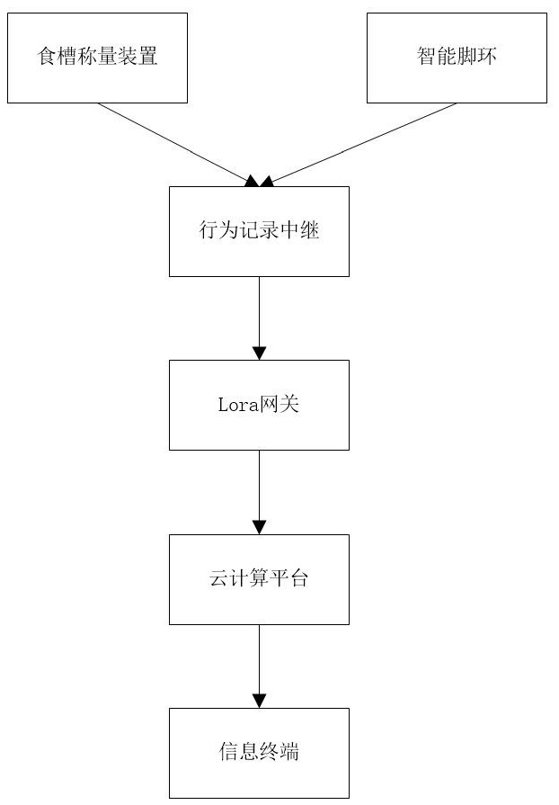 Sow health monitoring system