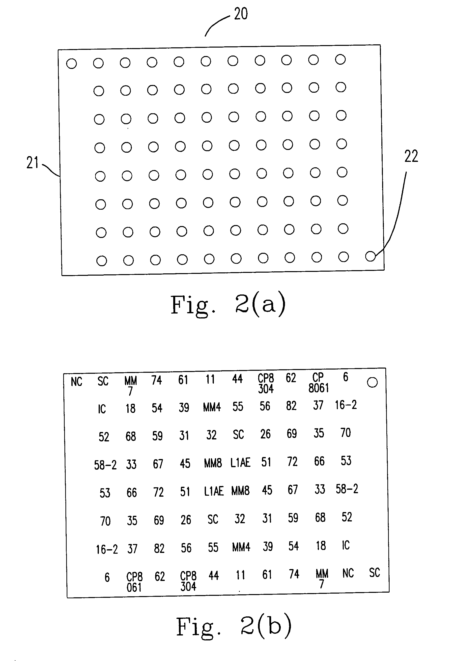 Method and detector for identifying subtypes of human papilloma viruses