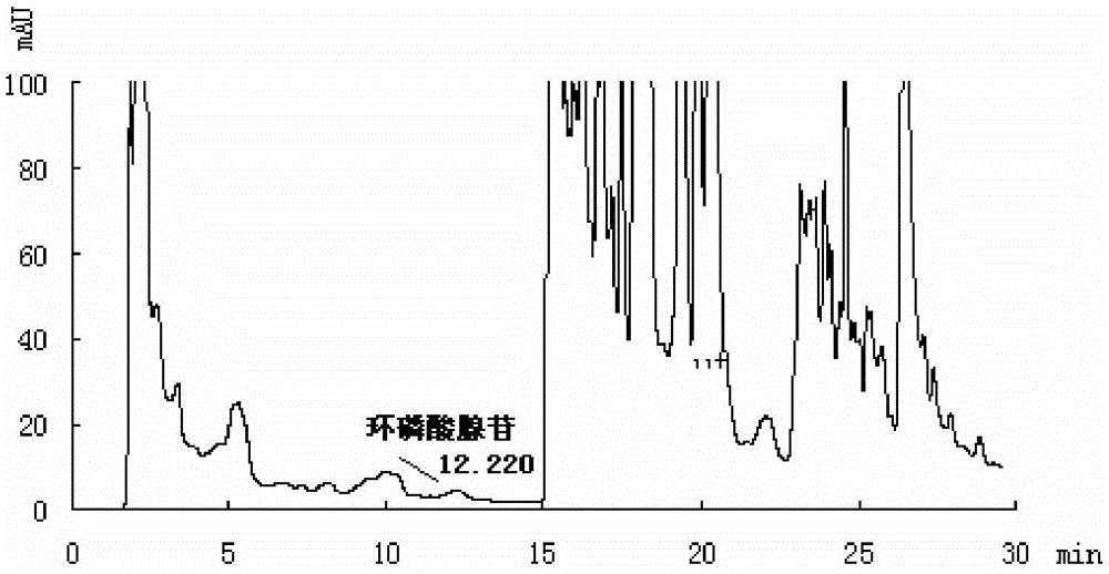 Method for simultaneous determination of cyclic adenosine monophosphate, baicalin and glycyrrhizic acid in Xiaochaihu granules