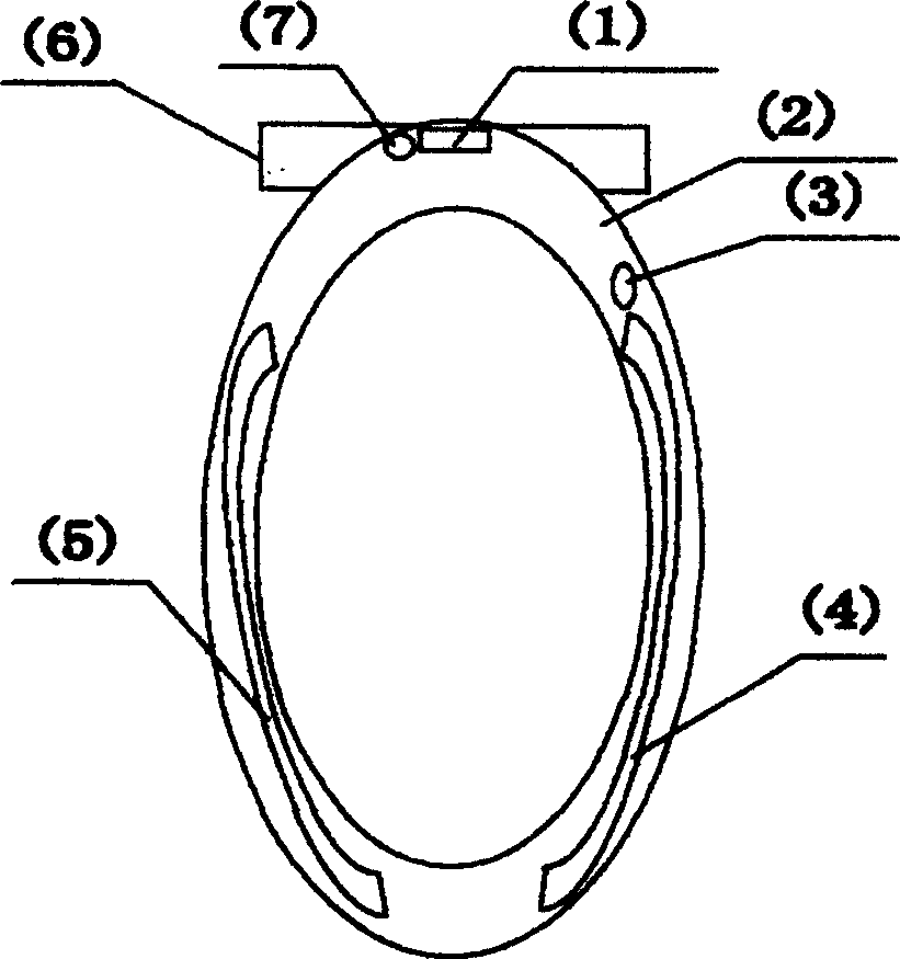 Constant temperature toilet cushion