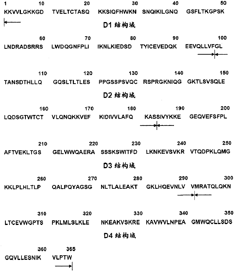 CD4 protein-resistant monoclonal antibody and active fragment and application thereof