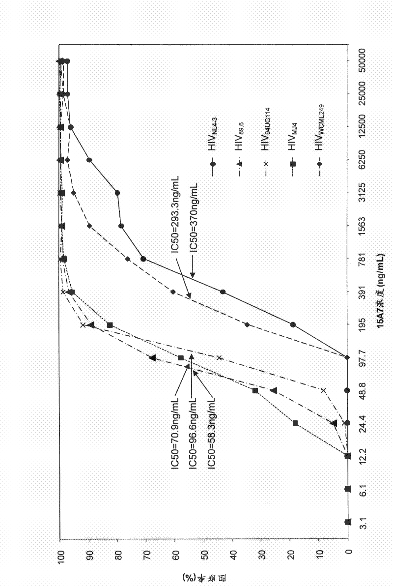 CD4 protein-resistant monoclonal antibody and active fragment and application thereof