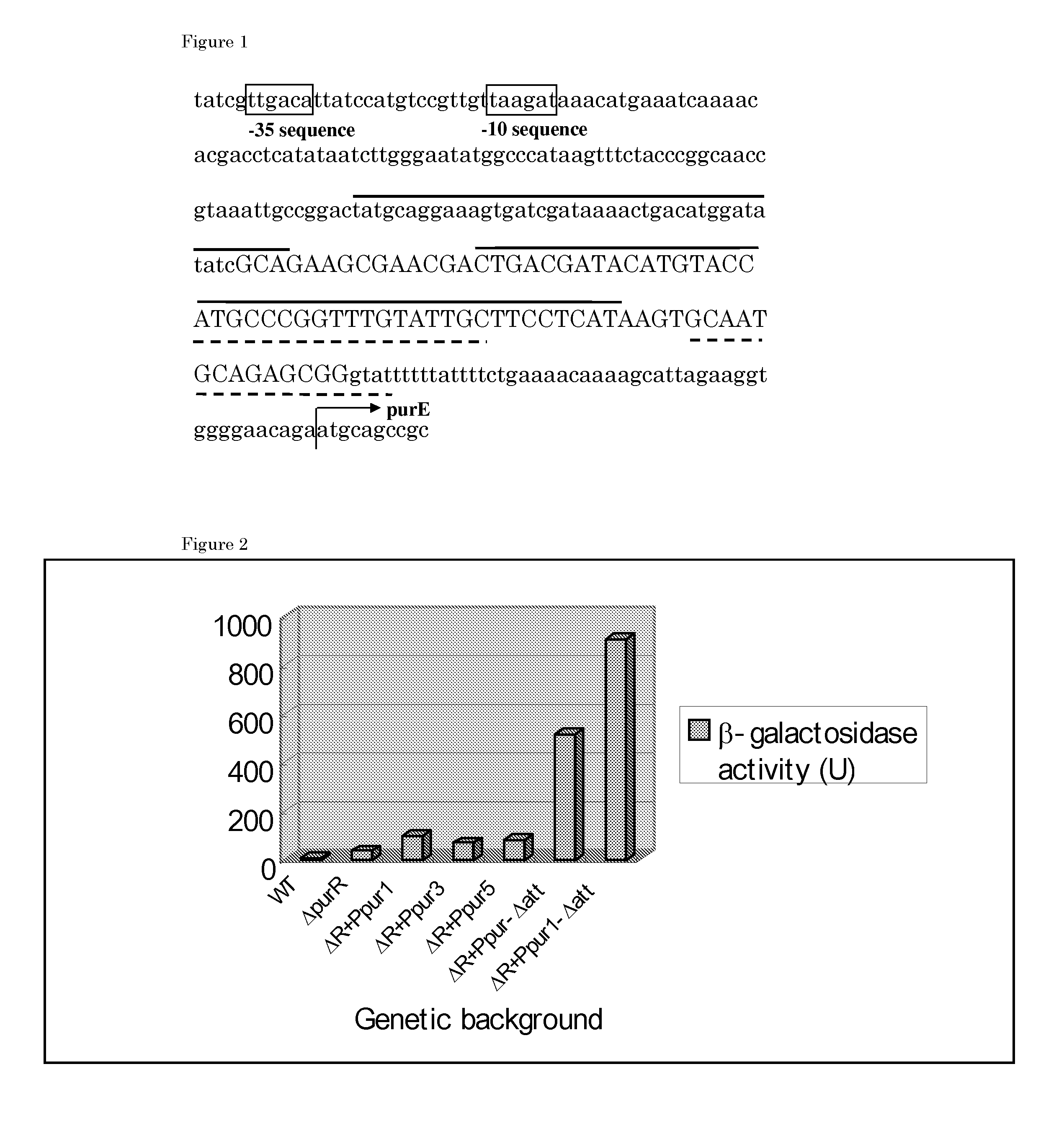 Purine-derived substance-producing bacterium and a method for producing purine-derived substance